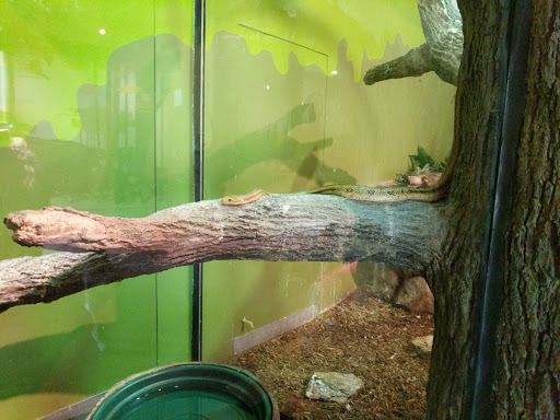 Nature Preserve «Chattahoochee Nature Center», reviews and photos, 9135 Willeo Rd, Roswell, GA 30075, USA