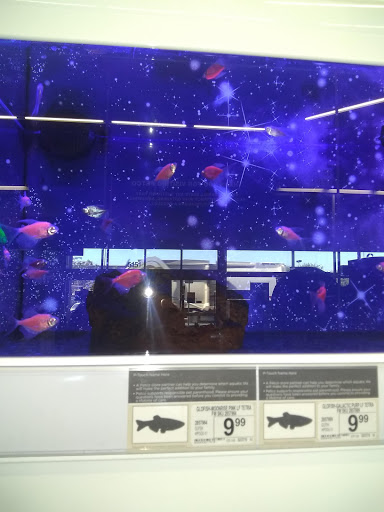 Pet Supply Store «Petco Animal Supplies», reviews and photos, 5151 Gosford Rd, Bakersfield, CA 93313, USA