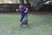 Coastal Sunrise Animal Hospital - Photo 8 - Car repair in Pensacola, FL, Pensacola