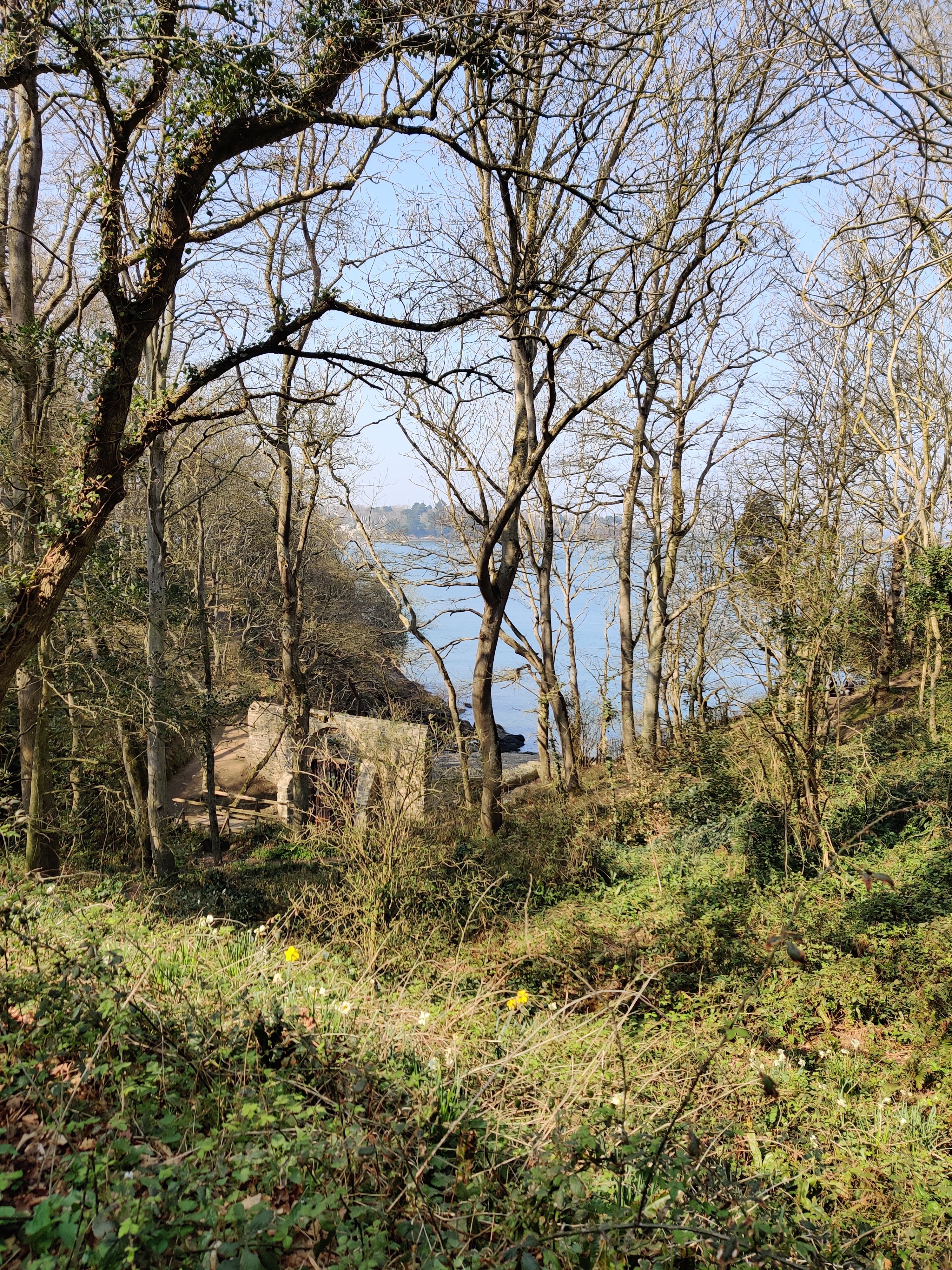 Photo n° 1 de l'avis de jalil.h fait le 25/03/2022 à 16:51