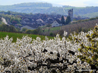 Burgundywine.com à Saint-Sernin-du-Plain