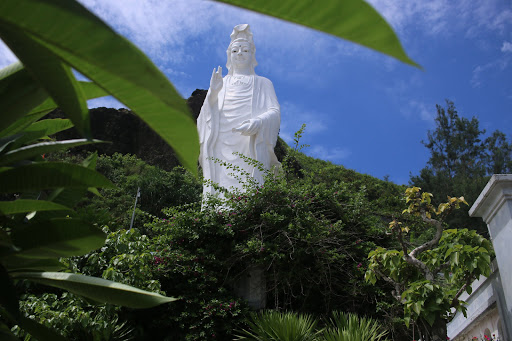 Top 20 cửa hàng akemi Huyện Lý Sơn Quảng Ngãi 2022