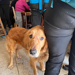 Photo n°5 de l'avis de Naomi.r fait le 29/01/2023 à 07:41 sur le  Rifugio Lausen à Velo Veronese