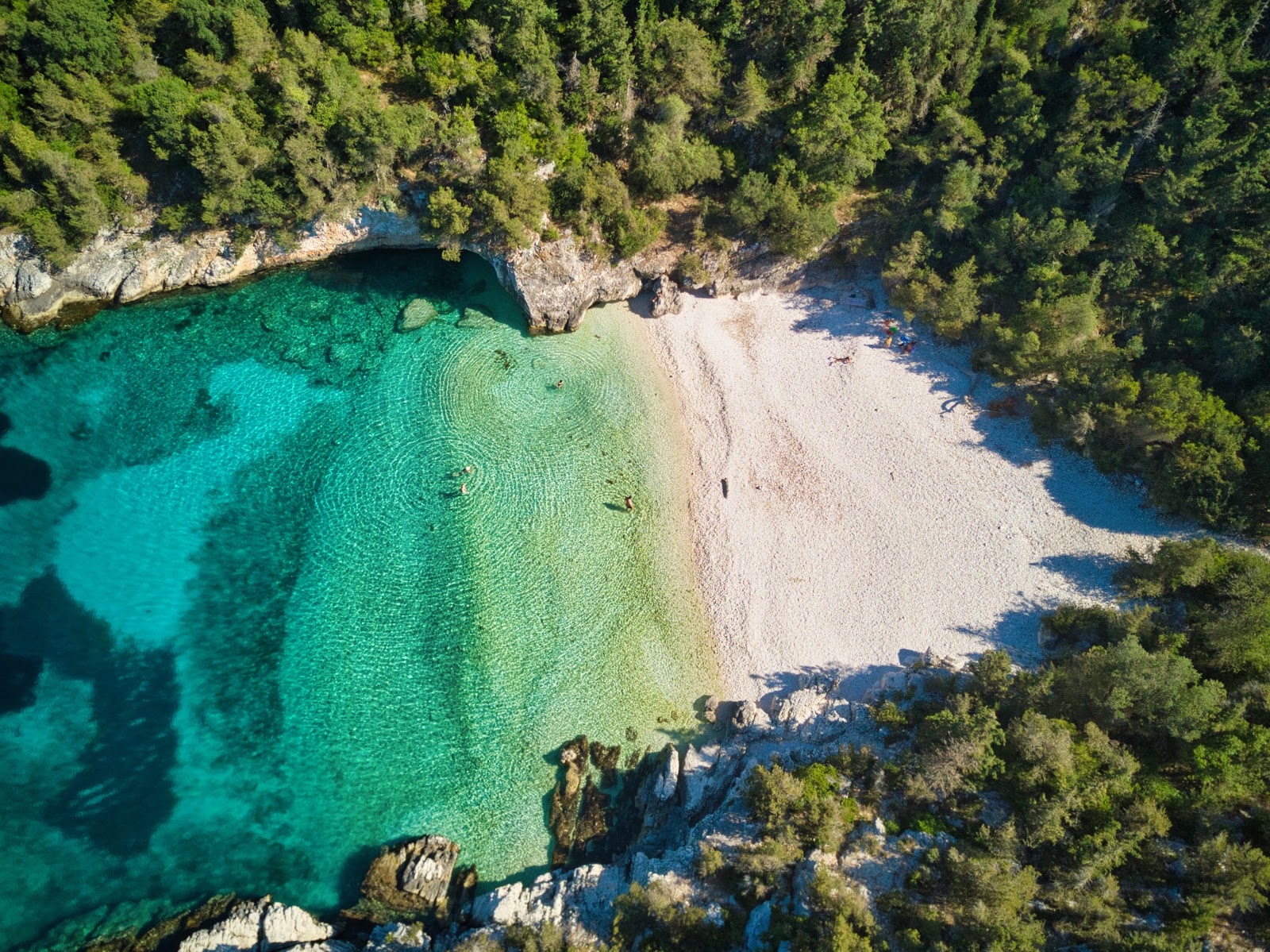 Photo of Dafnoudi beach with turquoise pure water surface