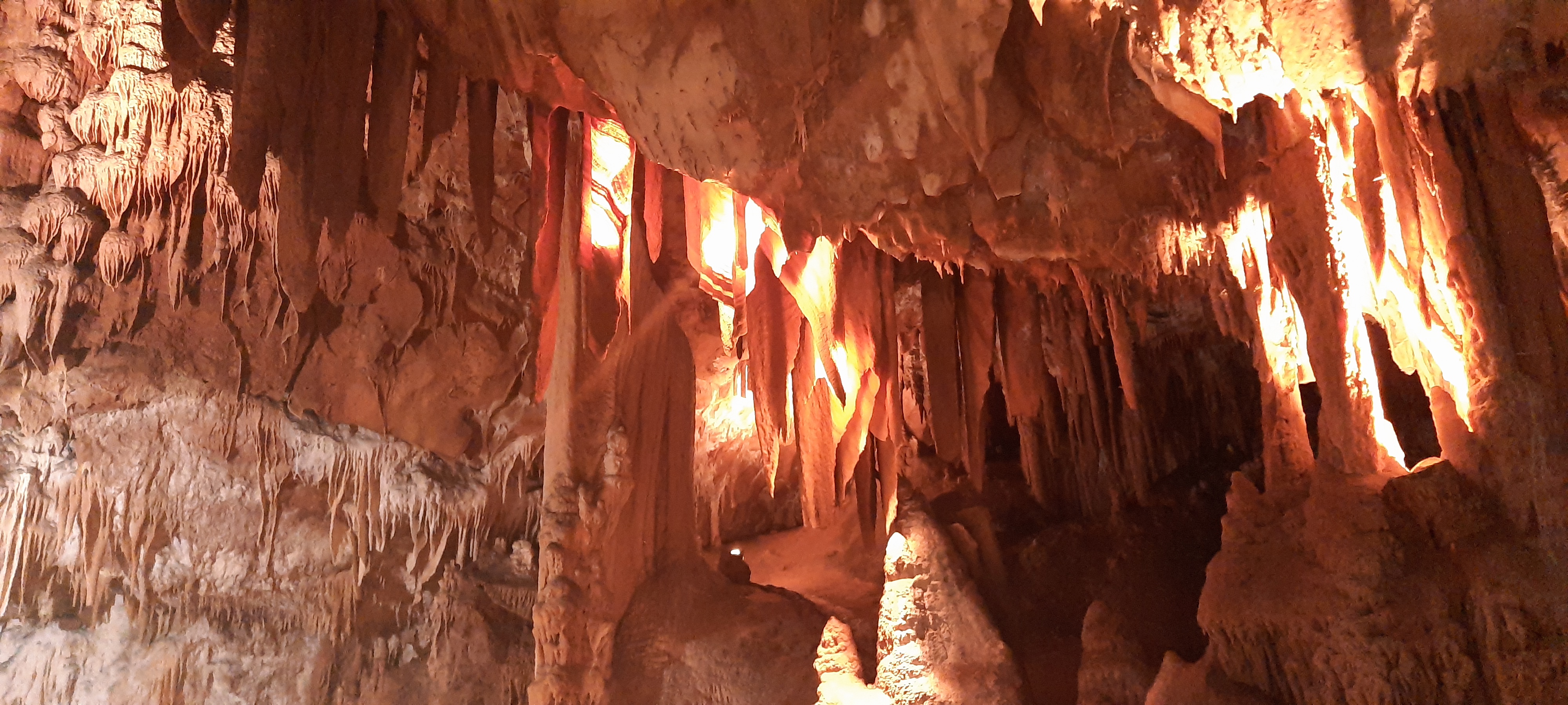 Photo n° 5 de l'avis de Marie.a fait le 27/06/2020 à 14:41