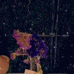 Photo n°3 de l'avis de Fausta.i fait le 14/09/2022 à 19:44 sur le  L'Eden bar - pizzeria - prodotti da forno à Monopoli