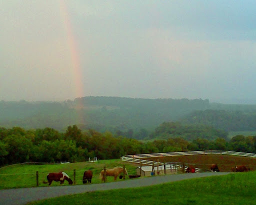 Horse Riding School «Horseng Farm LLC», reviews and photos, 6475 Warden Rd, New Tripoli, PA 18066, USA