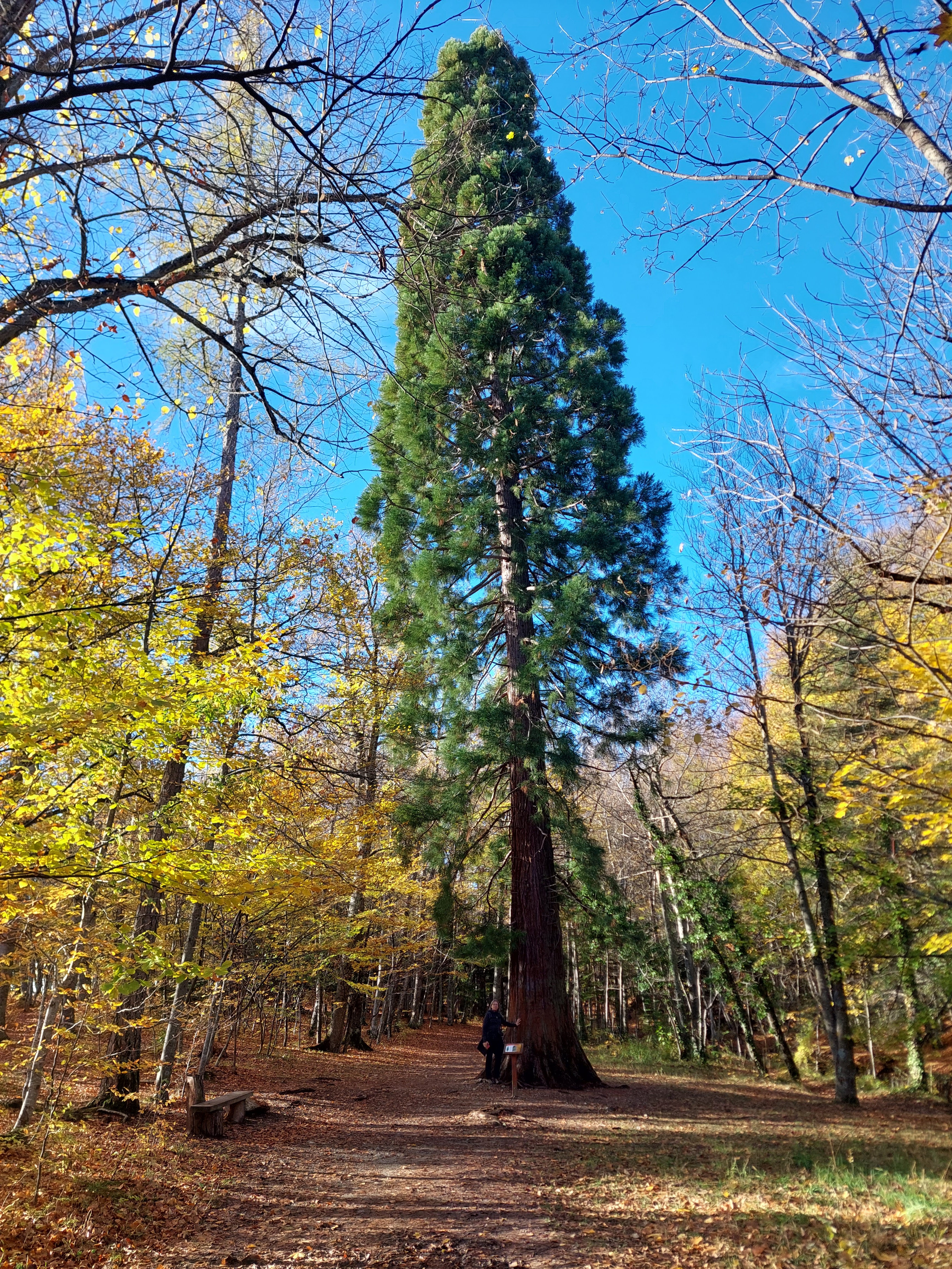 Photo n° 1 de l'avis de Didier.a fait le 18/11/2022 à 16:48