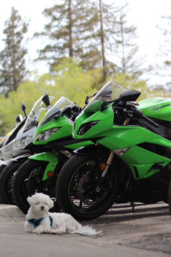 Used Motorcycle Dealer «AK Motors», reviews and photos, 3284 Edward Ave A, Santa Clara, CA 95054, USA