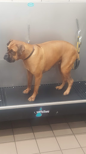 Pet Supply Store «Pet Supplies Plus», reviews and photos, 2001 E 7th St, Charlotte, NC 28204, USA