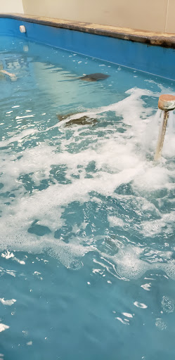 Aquarium «Aquarium Tarpon Springs», reviews and photos, 850 Dodecanese Blvd, Tarpon Springs, FL 34689, USA