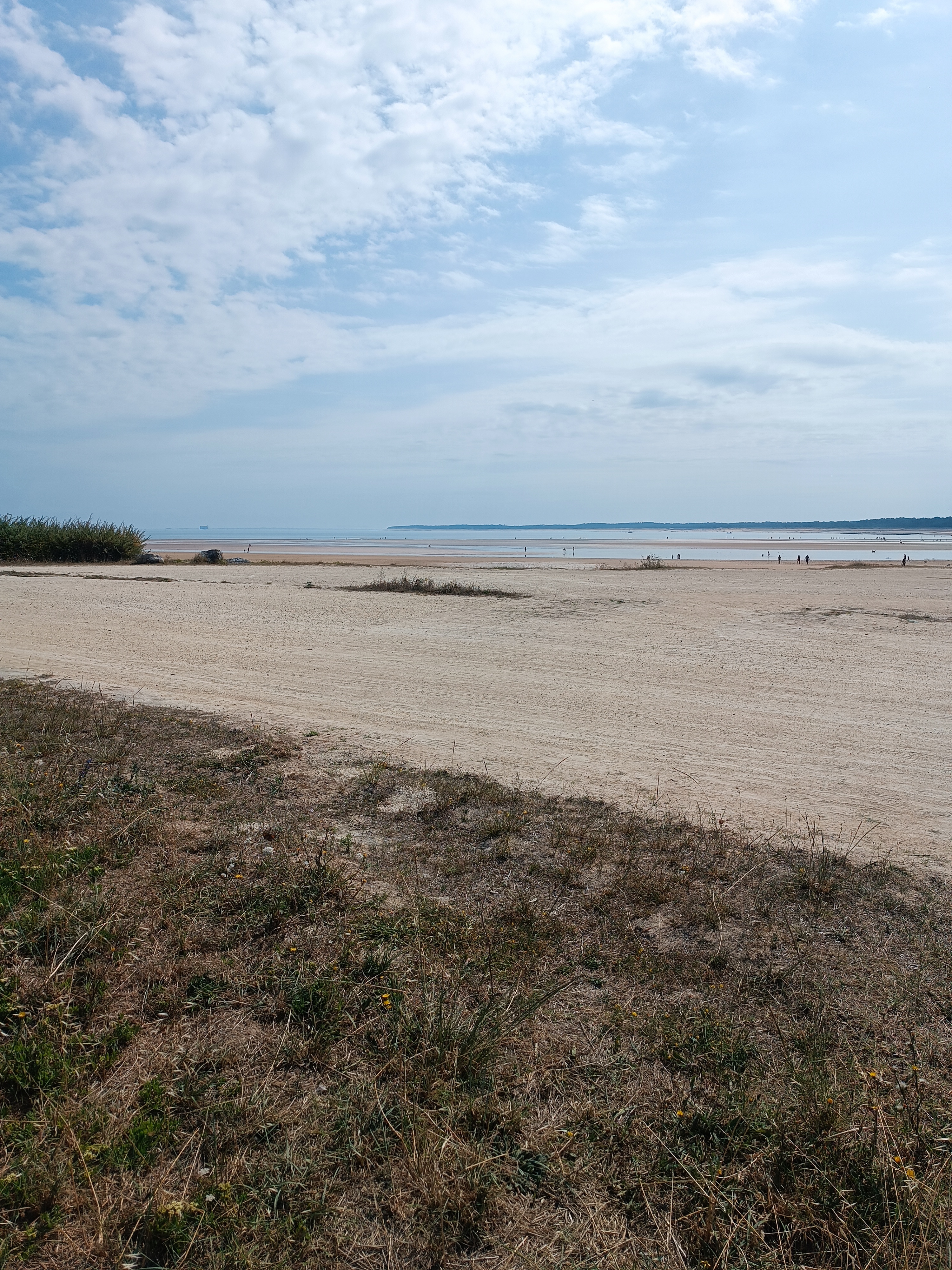 Photo n° 8 de l'avis de Bérénice.' fait le 20/08/2023 à 08:41
