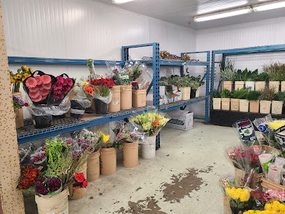 Florists Supply Ltd