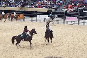 Prince George's Equestrian Center image