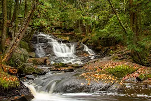 Potts Falls image