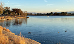 Shoreline Lake