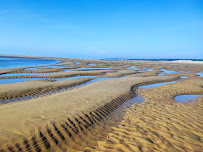 Les plus récentes photos du Restaurant La Plage le Veillon à Talmont-Saint-Hilaire - n°9