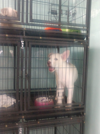 Pet Store «The Pet Stop», reviews and photos, 9128 E Foothill Blvd, Rancho Cucamonga, CA 91730, USA