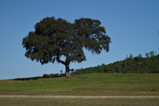 CJWJ+7FR, Santa Susana (Aldeia de Santa Susana), Portugal