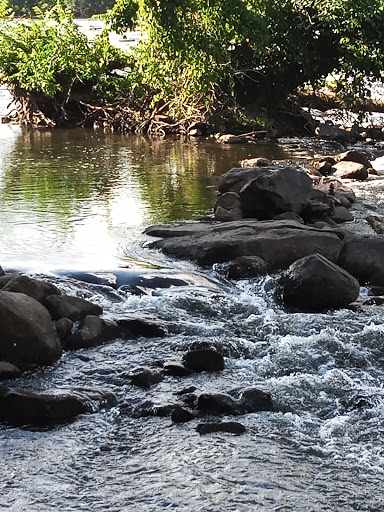 Wedding Venue «Brakefield At Riverwalk», reviews and photos, 1111 Brakefield Drive, Rock Hill, SC 29730, USA