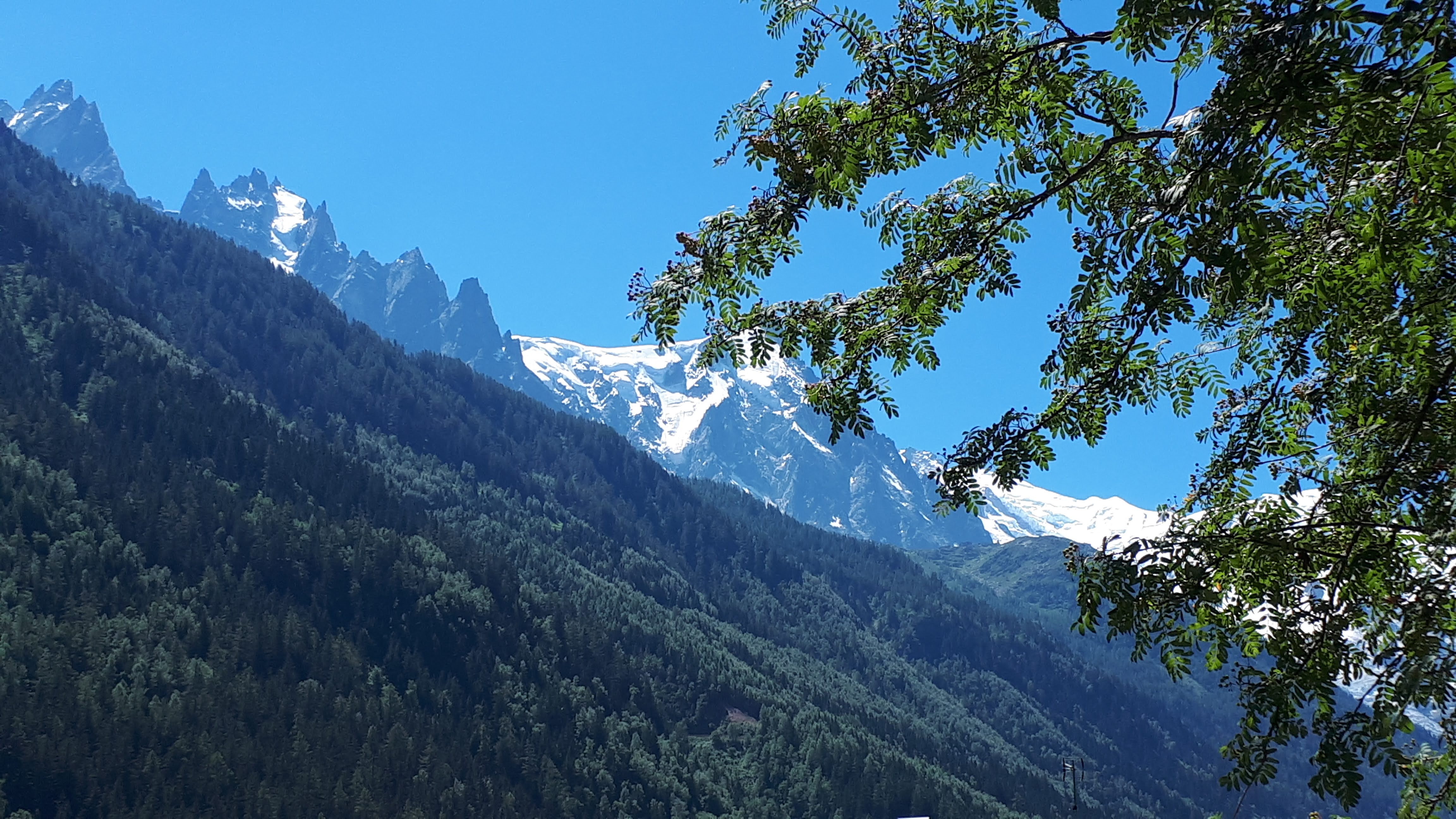 Photo n° 3 de l'avis de Françoise.o fait le 11/08/2019 à 17:50