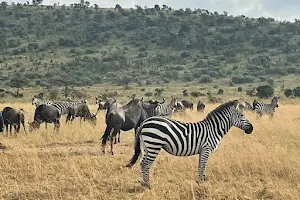 Kenya Safari Holiday Tours image