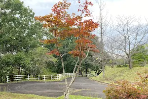 Hikaritokazenooka Park image