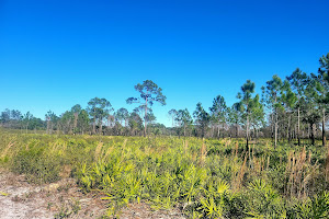 Cedar Key Scrub State Reserve