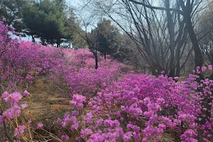 Bucheon Wonmi Park image