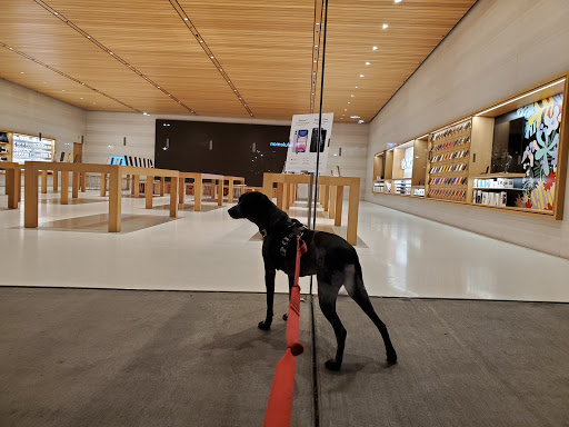 Computer Store «Apple Lehigh Valley», reviews and photos, 250 Lehigh Valley Mall, Whitehall, PA 18052, USA