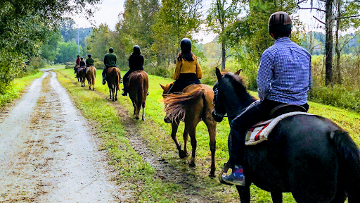 Red Gate Farms: Horseback Trail Rides
