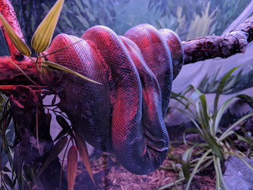 Zoo «Lake Superior Zoo», reviews and photos, 7210 Fremont St, Duluth, MN 55807, USA