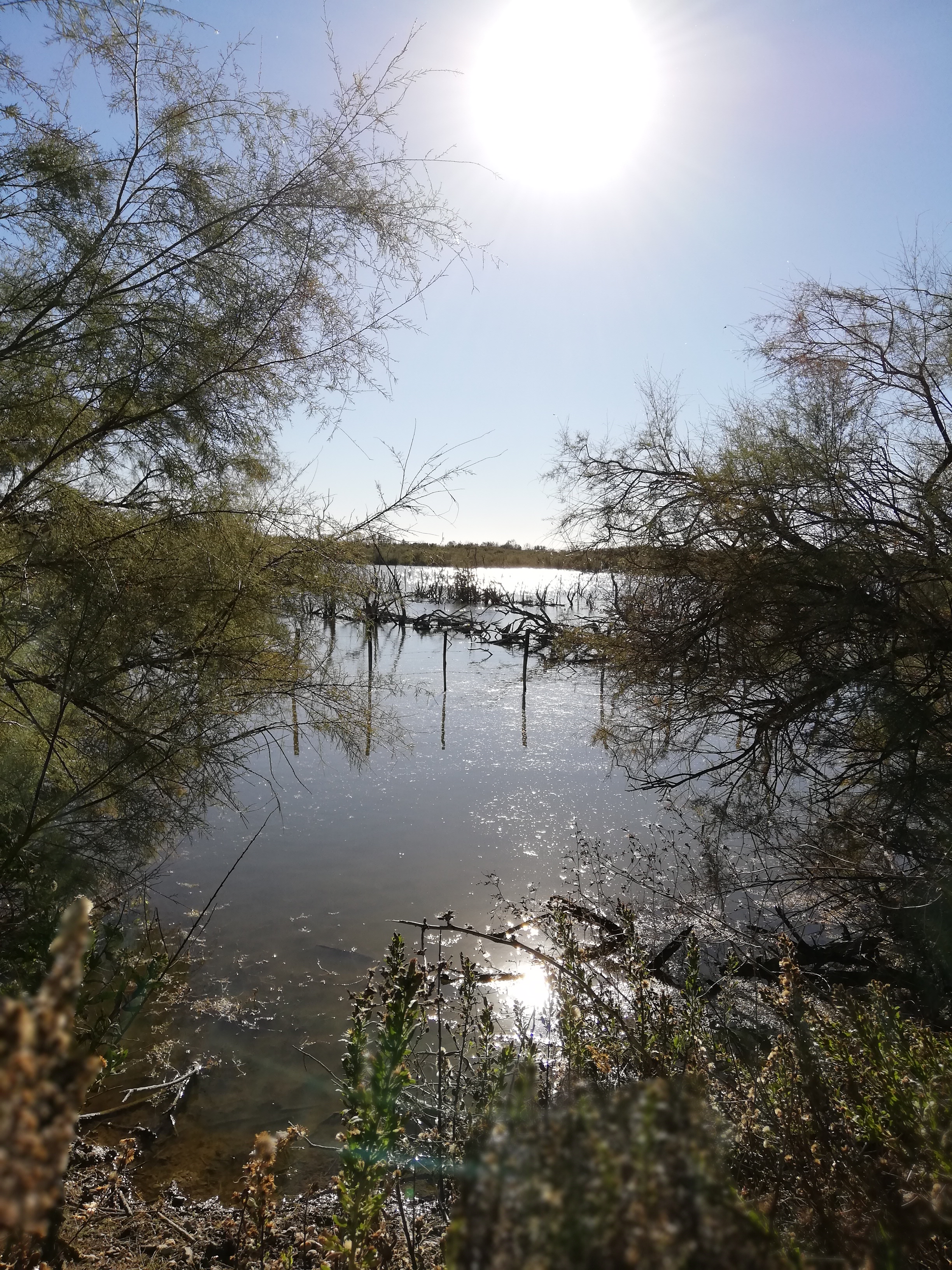 Photo n° 4 de l'avis de Sarah.o fait le 24/10/2018 à 15:20