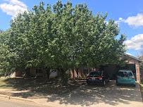Tiuls Landscaping And Tree Care Service LLC - Photo 4 - Car repair in , Austin