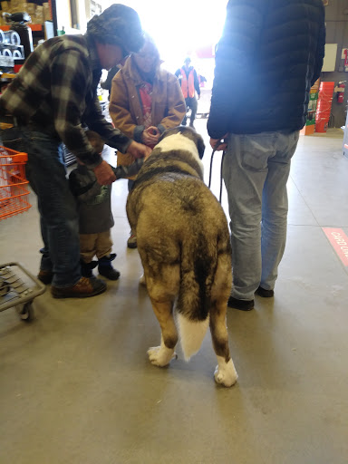 Home Improvement Store «The Home Depot», reviews and photos, 9078 Highland Rd, White Lake, MI 48386, USA