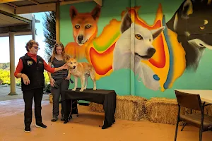 Dingo Discovery Sanctuary, Research and Education Centre image