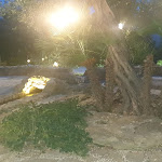 Photo n°2 de l'avis de Daniele.v fait le 23/09/2019 à 08:59 sur le  Baglio Borgesati à Salemi