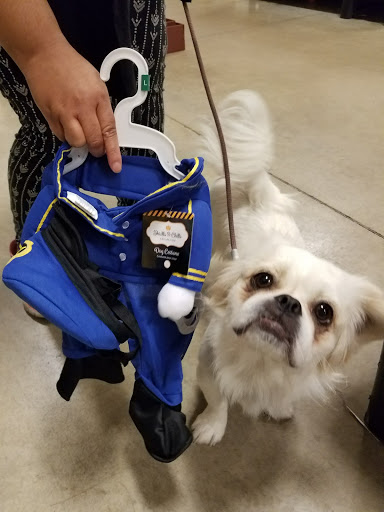 Pet Supply Store «PetSmart», reviews and photos, 250 Grossman Dr, Braintree, MA 02184, USA