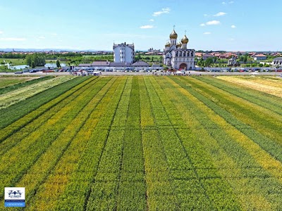 Photos of Manastir Svete Petke
