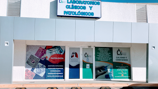 Laboratorio Clinico y Patológico LCP