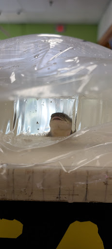 Pet Store «Tye-Dyed Iguana - Reptiles», reviews and photos, 1905 W U.S. 50, Fairview Heights, IL 62208, USA