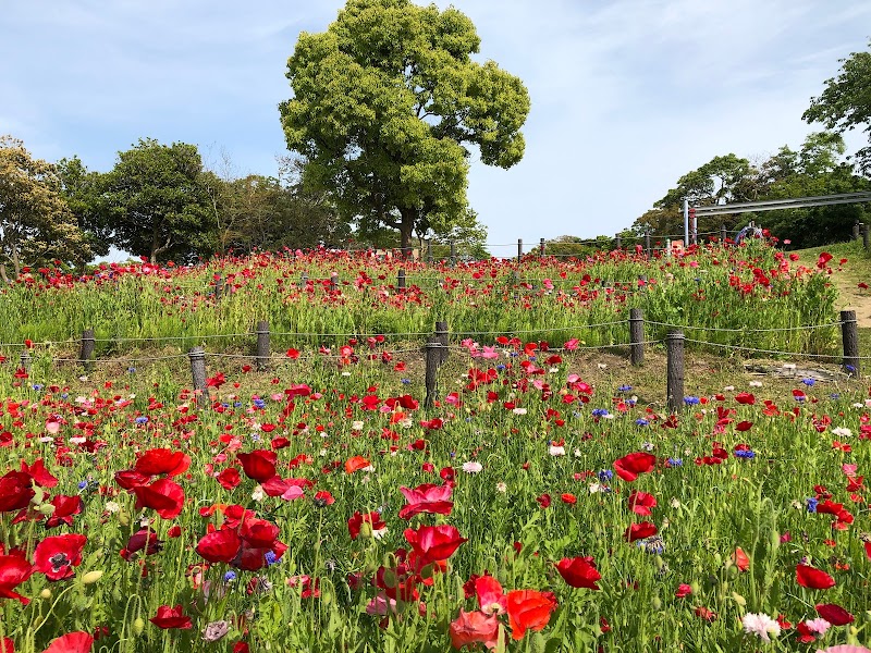 花の広場