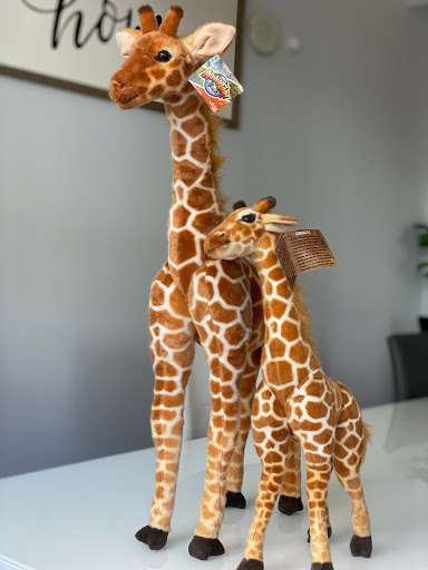 Toy Store «Toy World Incorporated», reviews and photos, 7455 NW 41st St, Miami, FL 33166, USA