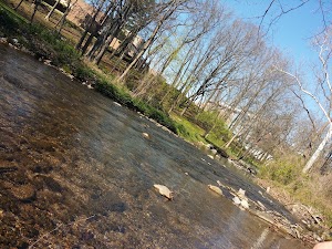 Museum Park - photo 83
