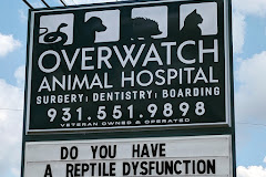 Overwatch Animal Hospital