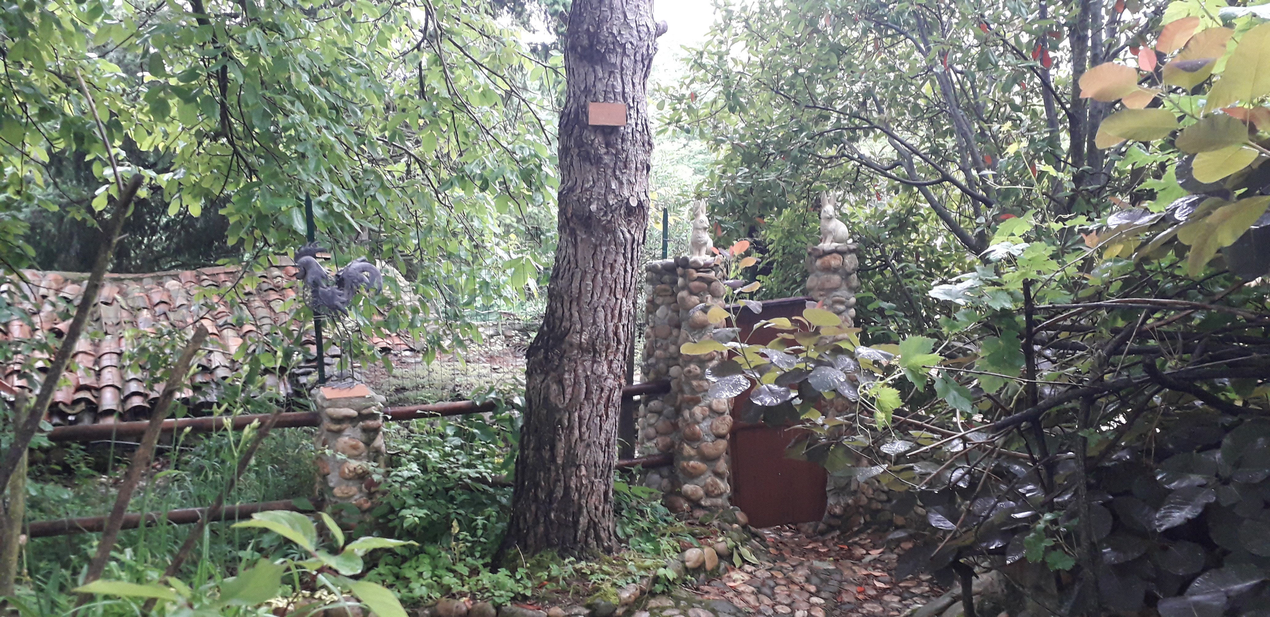 Photo n° 11 de l'avis de juan.e fait le 14/06/2019 à 10:45