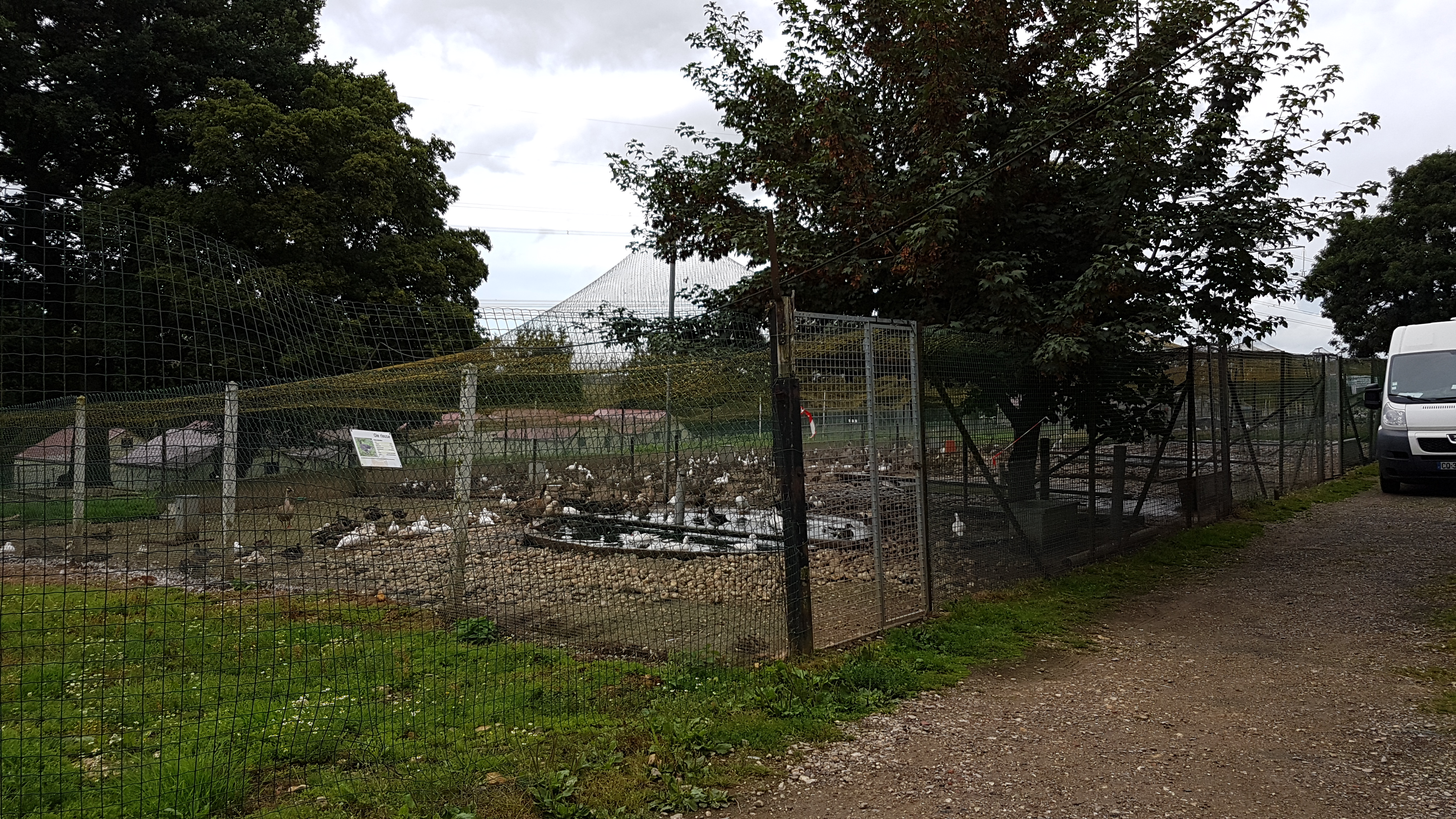 Photo n° 6 de l'avis de Catherine.u fait le 09/08/2019 à 19:00