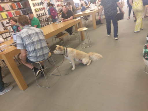 Computer Store «Apple Georgetown», reviews and photos, 1229 Wisconsin Ave NW, Washington, DC 20007, USA