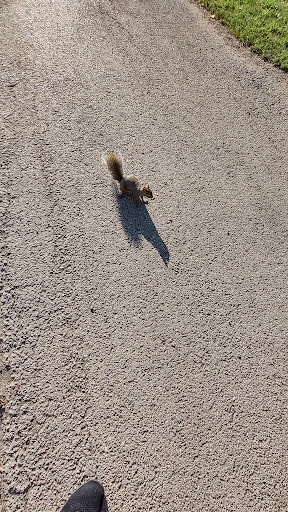 Park «Chicago Park District», reviews and photos, 5505 W Berteau Ave, Chicago, IL 60641, USA