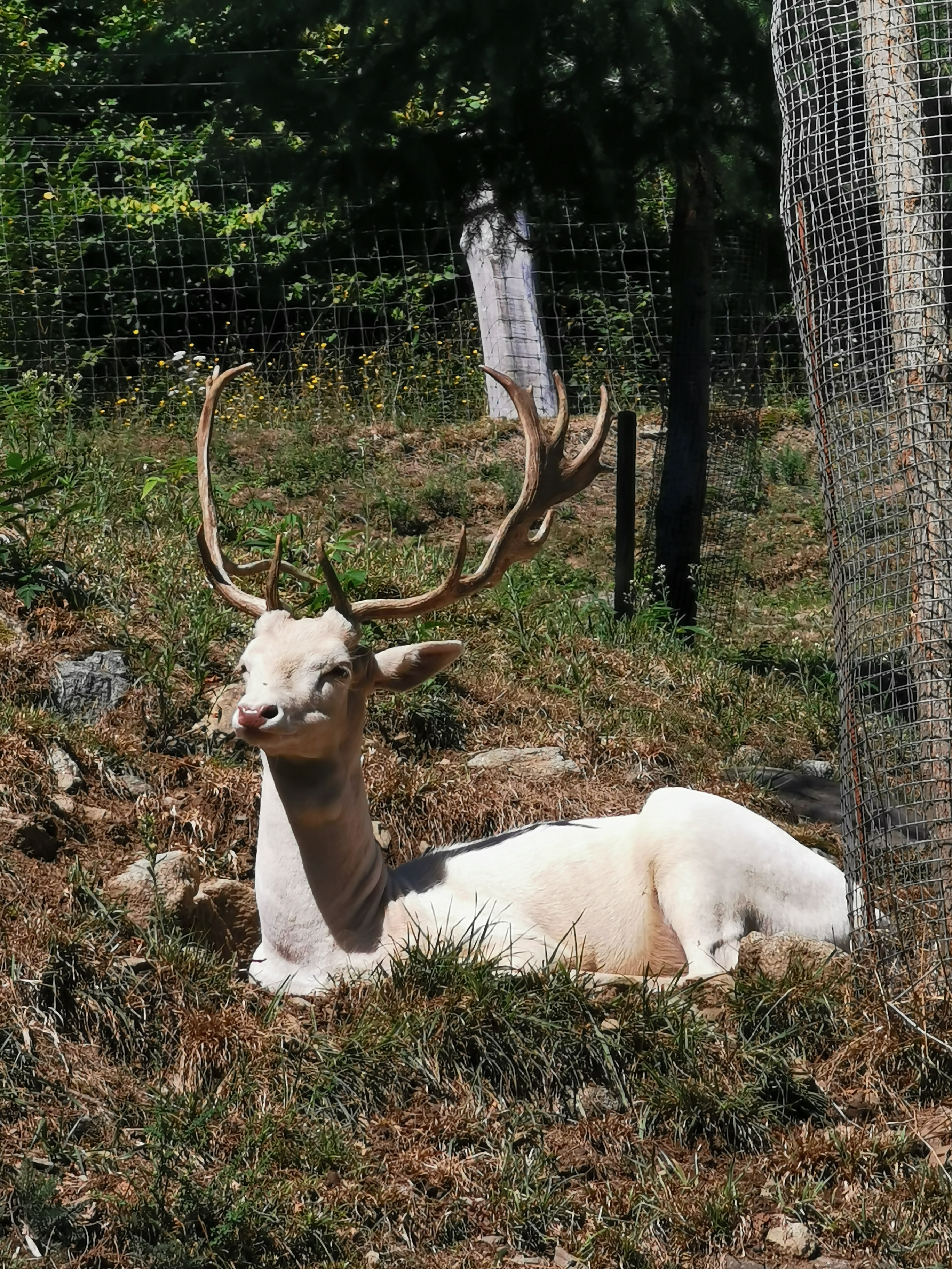 Photo n° 9 de l'avis de Sylvain.i fait le 03/09/2020 à 11:35